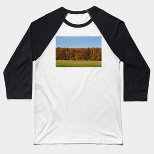 Oak forest in the autumn Baseball T-Shirt